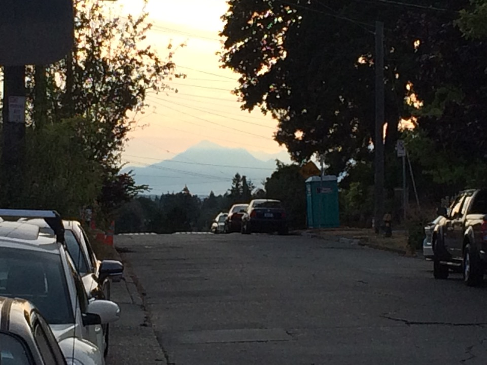 We could see the Olympic Mountains from our neighborhood!