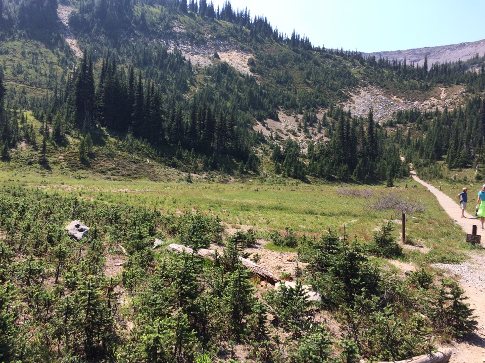 A glacial bowl, Alpine meadow.