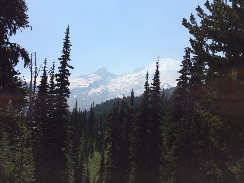 Alpine meadow.