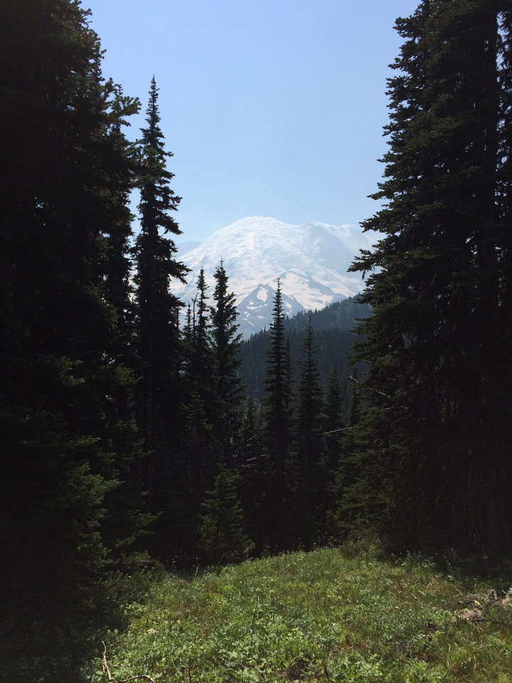 Alpine meadow.