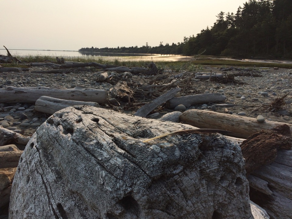 Dungeness National Wildlife Refuge