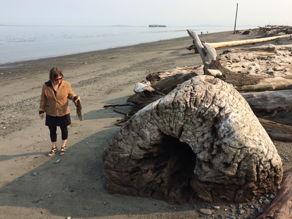 Dungeness National Wildlife Refuge