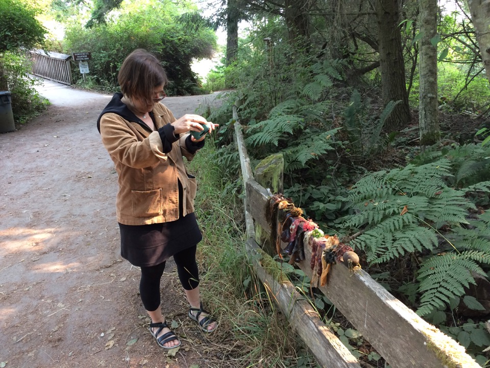 Vivian collected an array of seaweed.