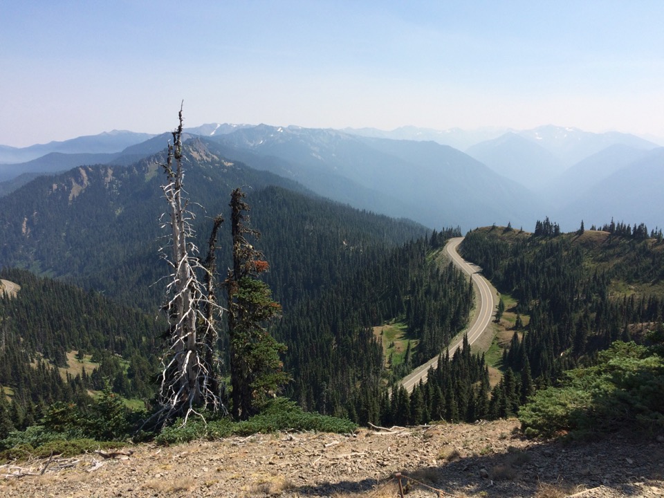 Hiking on the Hurricane Ridge.  High, hot, dry!