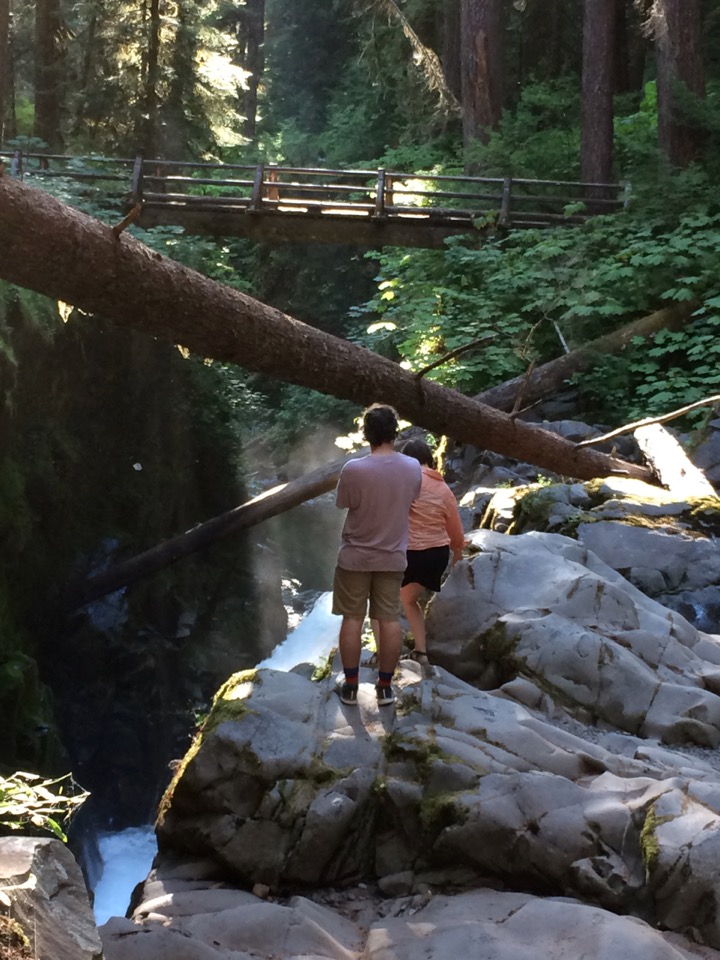 Falls on the Soleduck River.