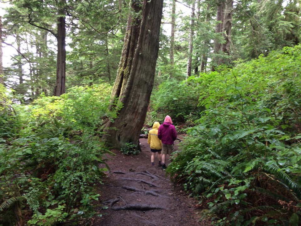 Walking path towards Clallam Bay...