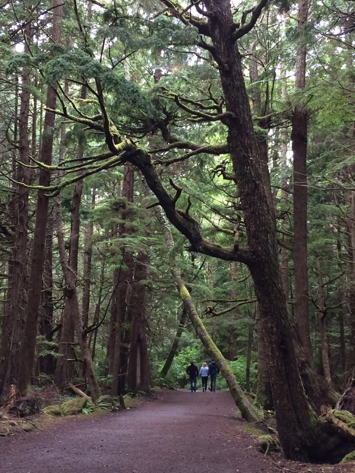 Clallam Bay surroundings.