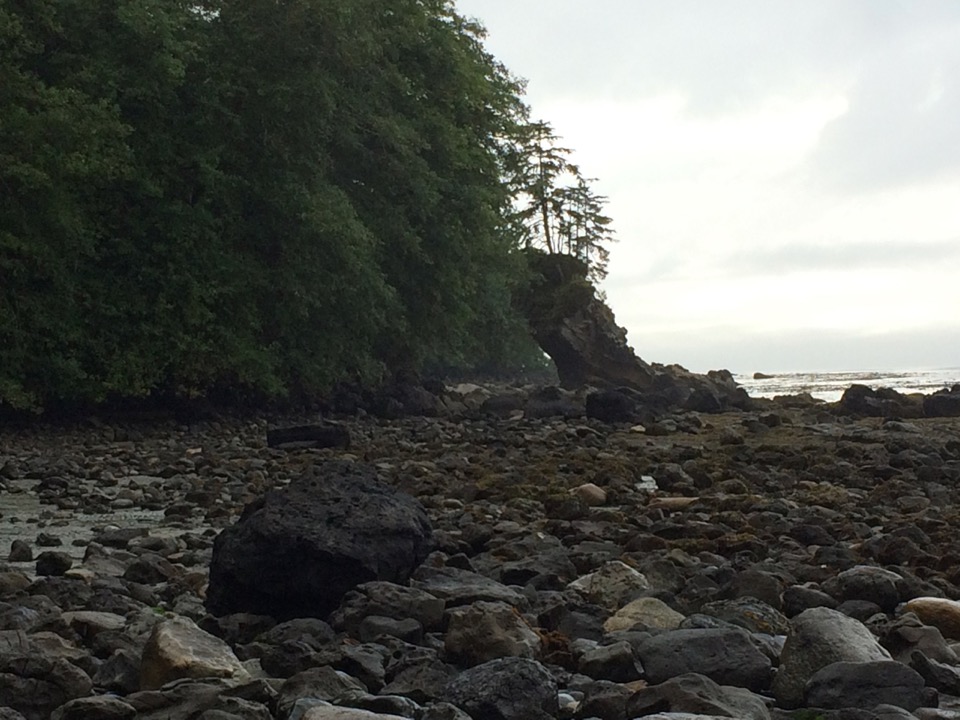 Neah Bay shoreline, looking west.