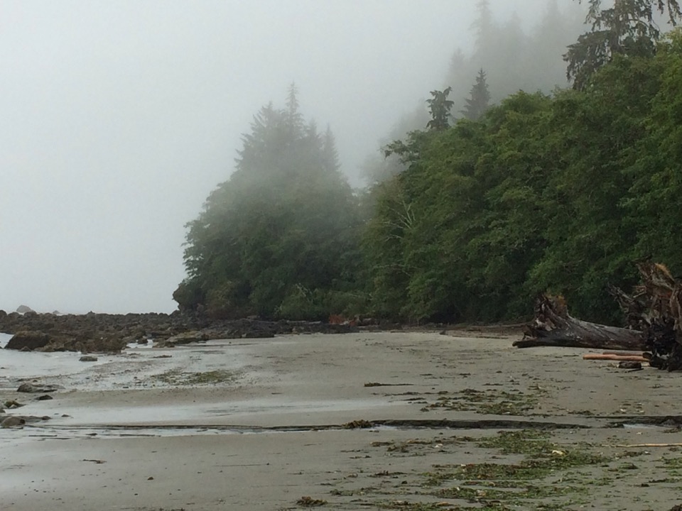 Neah Bay shoreline, looking east.