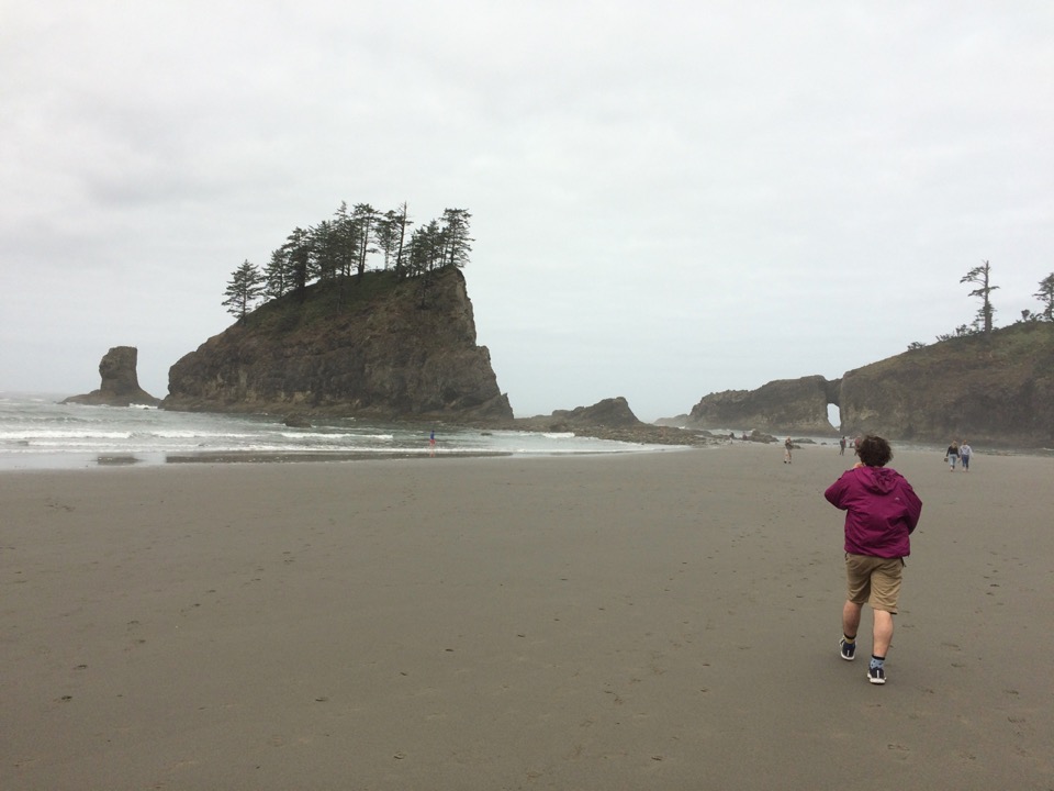 Beach at La Push.