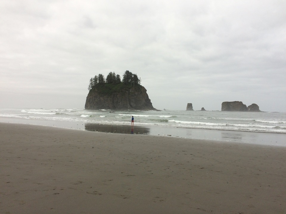 Beach at La Push.