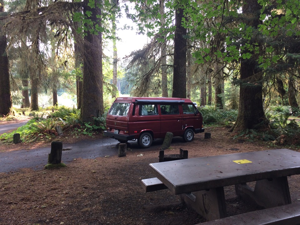 Campsite in Hoh Rainforest!