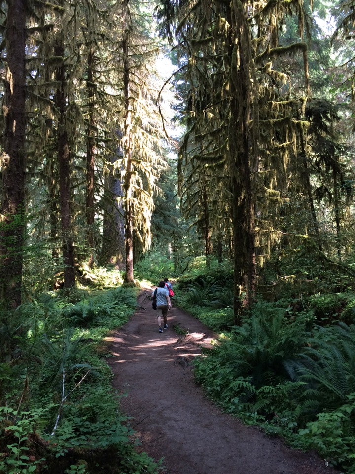 Hiking up the Hoh River.