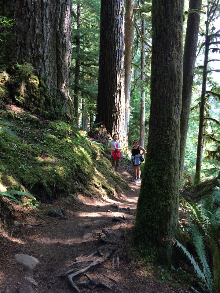 Hiking up the Hoh River.