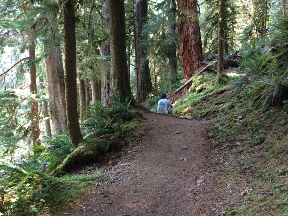 Hiking up the Hoh River.