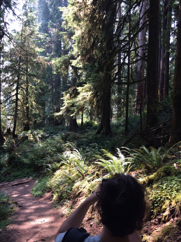 Hiking up the Hoh River.