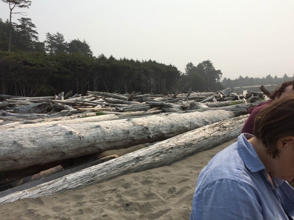 Beach at Kalaloch.