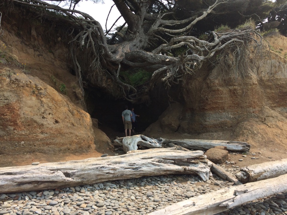 Beach at Kalaloch.