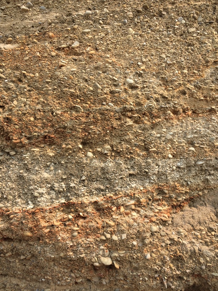 Sediments beside beach at Kalaloch.