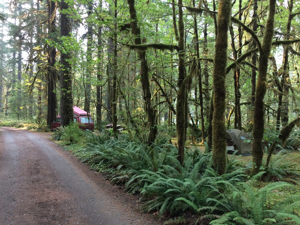 Graves Creek Campground.